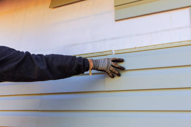 Best Insulated Siding Installation  in Rocky Point, NC